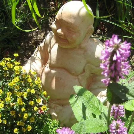 Gaesteappartement Appricot Проживание в семье Адендорф